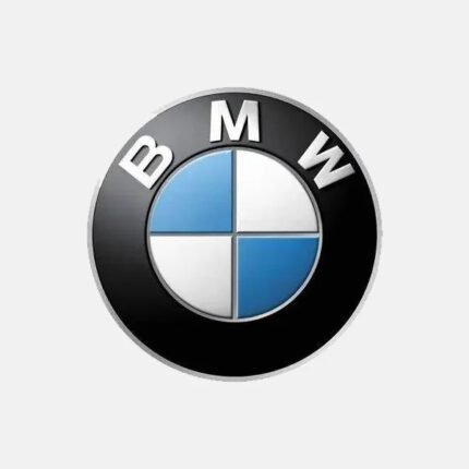 BMW 31316796156 Front Suspension Strut – Right